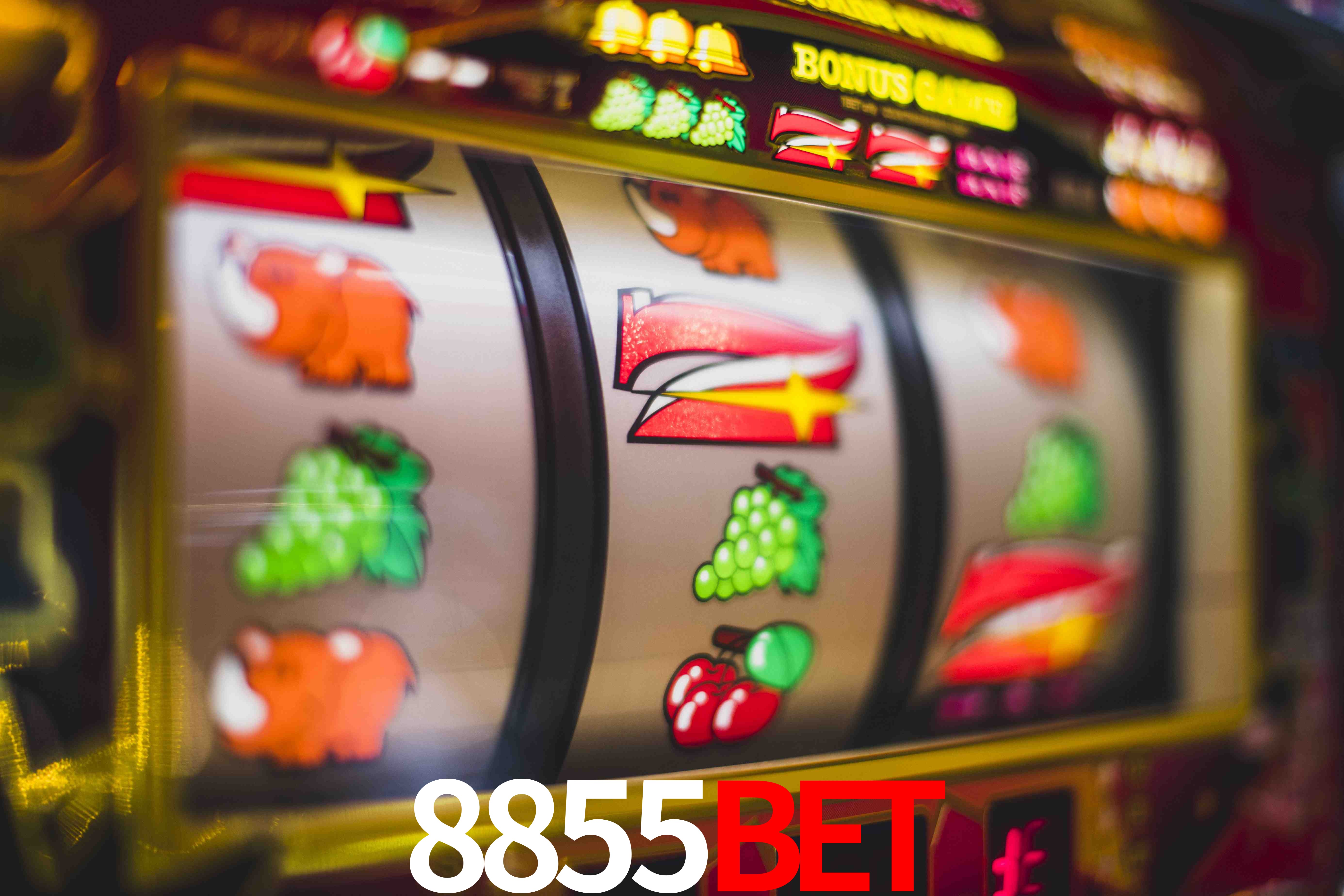 Tennis Betting 8855BET
