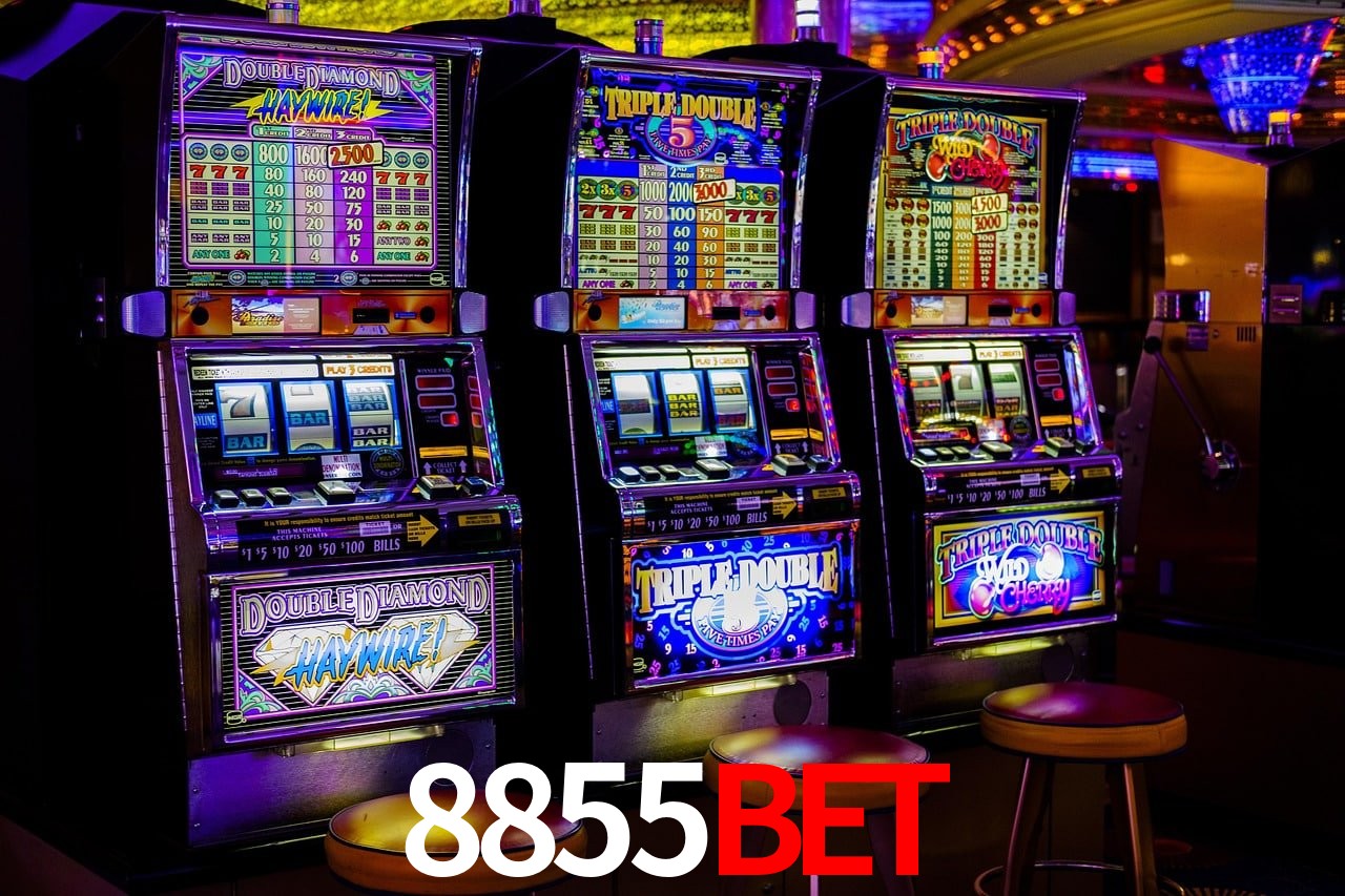 Casino Ao Vivo 8855BET